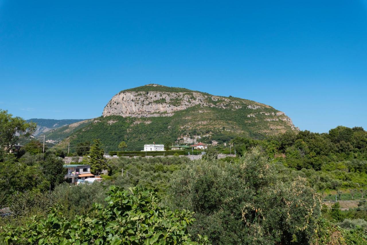Villa Anna - De Vivo Realty П'яно-ді-Сорренто Екстер'єр фото
